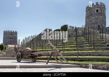 Interior, Rabati Castle ist eine Festung in Akhaltsikhe, Hauptstadt von Samtskhe-Saatabago, Georgien. Ursprünglich 9. Jahrhundert bekannt als Lomisa Castle, Stockfoto