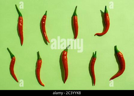 Rote Chilischoten Muster auf grünem Hintergrund. Draufsicht. Paprika flach legen. Mexikanische Paprika in einer Reihe. Stockfoto