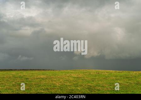 Cliffs of Moher im wunderschönen Irland Stockfoto