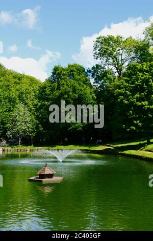 Holden Pond in Holden Corner im Sommer, Southborough Common, in der Nähe von Tunbridge Wells, Kent, England Stockfoto