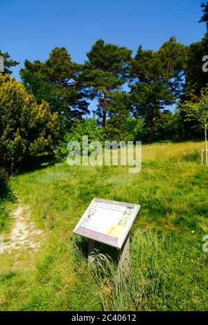 Schild beschreibt Naturwiesengebiet in Calverley Grounds, Royal Tunbridge Wells, Kent, England Stockfoto