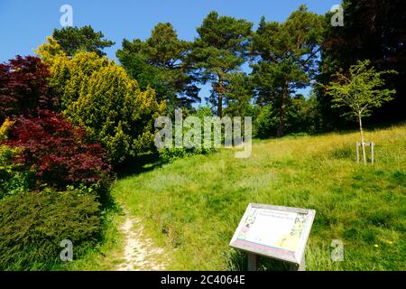 Schild beschreibt Naturwiesengebiet in Calverley Grounds, Royal Tunbridge Wells, Kent, England Stockfoto