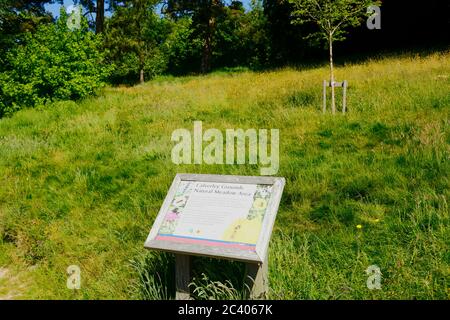 Schild beschreibt Naturwiesengebiet in Calverley Grounds, Royal Tunbridge Wells, Kent, England Stockfoto