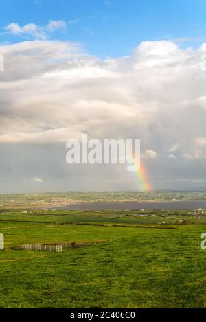 Cliffs of Moher im wunderschönen Irland Stockfoto