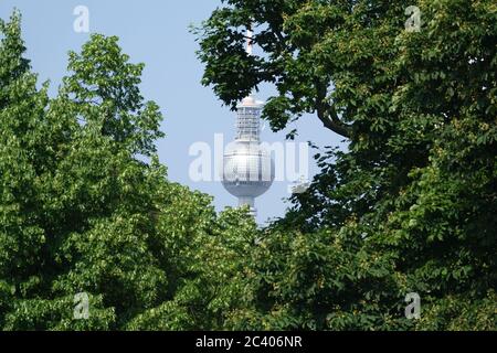 Berlin, Deutschland. Juni 2020. Die Sphäre des Fernsehturms kann durch Bäume gesehen werden. Quelle: Alexandra Schuler/dpa/Alamy Live News Stockfoto