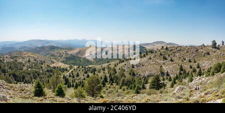 Naturpark Sierra de las Nieves, Biosphärenreservat, Ronda, Provinz Malaga. Andalusien, Südspanien. Europa. Stockfoto