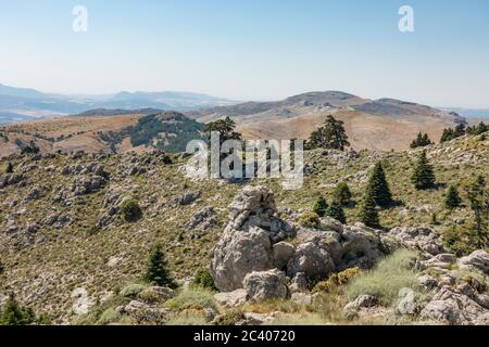 Naturpark Sierra de las Nieves, Biosphärenreservat, Ronda, Provinz Malaga. Andalusien, Südspanien. Europa. Stockfoto