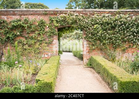 Die Rosengärten in Mottisfont Stockfoto