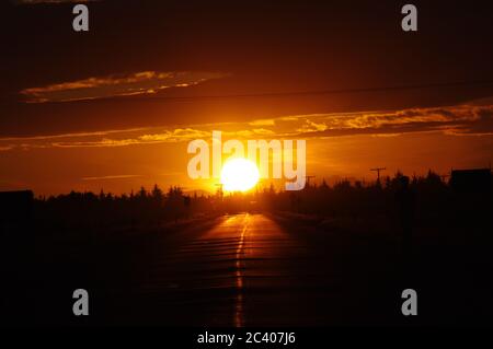 Abfolge von Bildern eines Sonnenuntergangs vom gleichen Standpunkt, Sonnen in die Straße setzen, von Bäumen gesäumtes Silho Stockfoto