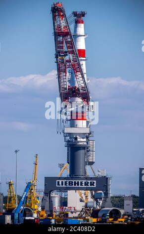 Rostock, Deutschland. Juni 2020. Auf dem Gelände des Kranherstellers Liebherr im Seehafen gibt es einen neuen Schwerlastkran bis 164 Meter Höhe. Der 5,500-Tonnen-Kran mit der Bezeichnung TCC 78000 ist laut dem Unternehmen einer der größten landgestützten Schwerlastkrane der Welt. Mit einer Tragfähigkeit von bis zu 1,600 Tonnen wird sie für die Verladung von Liebherr-Hafenkranen eingesetzt, steht aber auch anderen Unternehmen für den Schwerlastumschlag zur Verfügung. Quelle: Jens Büttner/dpa-Zentralbild/ZB/dpa/Alamy Live News Stockfoto