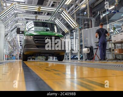 Ludwigsfelde, Deutschland. Juni 2020. Der Sprinter wird im Werk der Mercedes-Benz AG Ludwigsfelde gebaut. Quelle: Patrick Pleul/dpa-Zentralbild/ZB/dpa/Alamy Live News Stockfoto