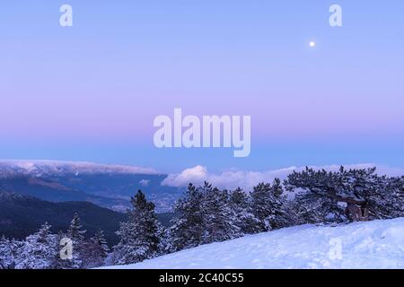 Winter-Panorama-Landschaft mit Vollmond. Sanfter rosa Sonnenuntergang über dem Meer. Ruhige Winterlandschaft mit Tannen. Blick auf Jalta vom Berg AI-Petri Cr Stockfoto