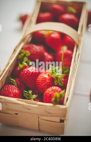 Frische gesunde Erdbeeren in einer Holzkiste auf weißem Hintergrund. Stockfoto