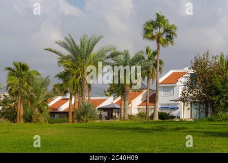 Palmen und Hotel auf der Insel Zypern. Das Konzept der Erholung und Unterhaltung. Stockfoto