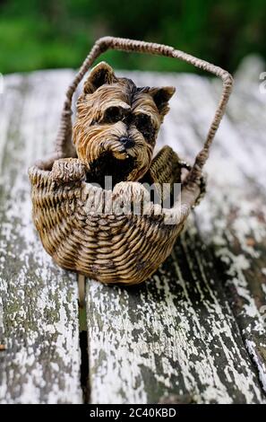 Wicker Scotch Terrier Hund im Korb auf verwitterten Gartentisch, norfolk, england Stockfoto