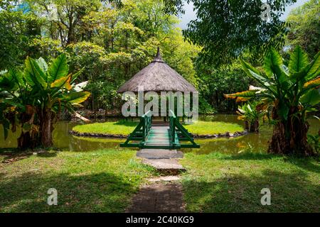 Botanischer Garten Pamplemousses, Mauritius. Sir Seewoosagur Ramgoolam Botanischer Garten Stockfoto