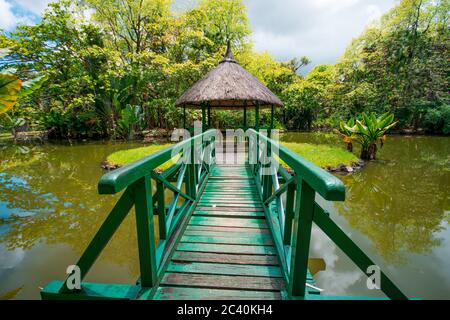 Botanischer Garten Pamplemousses, Mauritius. Sir Seewoosagur Ramgoolam Botanischer Garten Stockfoto
