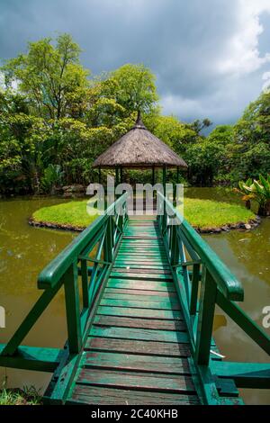 Botanischer Garten Pamplemousses, Mauritius. Sir Seewoosagur Ramgoolam Botanischer Garten Stockfoto
