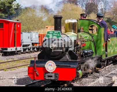 Fahrer von Miniatur-Dampfeisenbahn, Beamish Museum, Durham County, England, Großbritannien Stockfoto