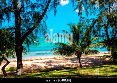 BAIN BOEUF Mauriutius. Schöner Strand im Norden von Mauritius. Coin de Mire, weißer Strand unter Palmen. Stockfoto