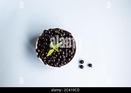 Süße Bio-Johannisbeere in weißem Glas Tasse und verstreut auf blauem Hintergrund. Draufsicht. Flat Lay Sommer Erntekonzept Stockfoto