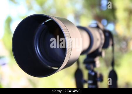 Eine Dreiviertelansicht eines imposanten Teleobjektivs und seines Sonnenvisiers, vor einer Kamera fixiert. Der Gurt und das Stativ sind im Hintergrund zu sehen. Stockfoto