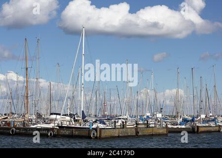 Segelboote im Hafen von Maasholm auf der Schlei Stockfoto