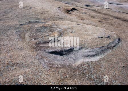 Auf dem Stone Mountain in der Nähe von Atlanta, Georgia, USA. Nahaufnahme der Granitfelsen. Stone Mountain ist eine Quarz-Monzonit-Kuppel monadnock. Stockfoto