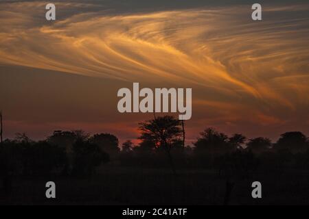 Buschveld Sonnenuntergang mit interessanten Wolkenformationen. 3612 Stockfoto