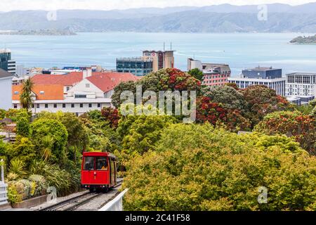 Wellington, Neuseeland: Wellington Cable Car, eine Standseilbahn zwischen Lambton Quay und Kelburn, einem Vorort in den Hügeln mit Blick auf die Stadt. Stockfoto