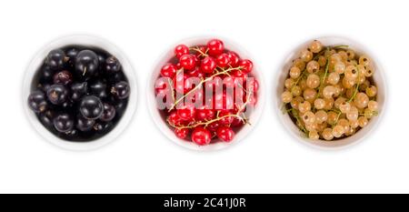 Set von verschiedenen Farben Johannisbeeren isoliert auf weißem Hintergrund ausgeschnitten. Weiße, rote und schwarze Johannisbeere in einer Holzschale mit Kopierfläche für Text. Draufsicht Stockfoto