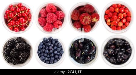 Blau-schwarze und rote Früchte und Beeren auf weiß isoliert. Süße und saftige Beeren mit Platz für Text. Draufsicht. Maulbeeren, Heidelbeeren, Bromberri Stockfoto