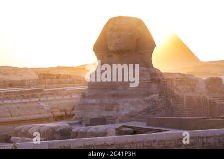 Große Sphinx von Giza bei Sonnenuntergang, Kairo, Ägypten. Stockfoto