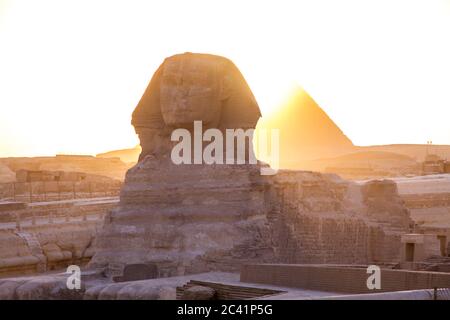 Große Sphinx von Giza bei Sonnenuntergang, Kairo, Ägypten. Stockfoto