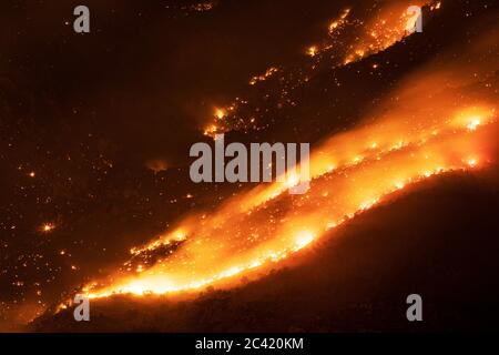 Bighorn Feuer wütet in den Santa Catalina Mountains, Tucson, Arizona, USA Stockfoto