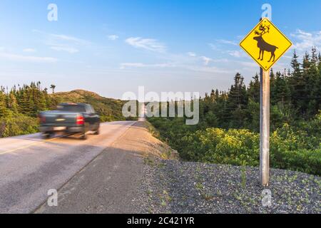 Schild Warnung Elch Gefahr, Gros Morne National Park, Neufundland und Labrador, Kanada Stockfoto