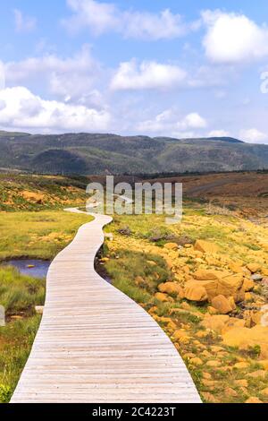 Boardwalk auf tableland Trail, Gros Morne National Park, Neufundland und Labrador, Kanada Stockfoto