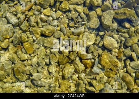 Meeressteine im Meerwasser. Kieselsteine unter Wasser. Die Aussicht von oben. Nautischer Hintergrund. Sauberes Meerwasser. Transparentes Meer. Stockfoto