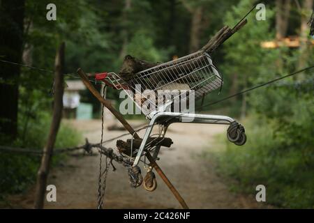 Kerpen, Deutschland. Juni 2020. Im Hambacher Wald hängt ein Einkaufswagen über einen Waldweg, um den Weg zu versperren. Bei einem Großeinsatz im Hambacher Wald hatte die Polizei mehrere Aufbauten auf Pfaden im Wald entfernt. 2018 war der Wald zum Symbol des Kampfes zwischen Klimaschützern und der Kohleindustrie geworden. Kredit: David Young/dpa/Alamy Live Nachrichten Stockfoto