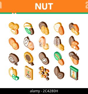 Nussfutter Verschiedene Isometrische Symbole Set Vektor Stock Vektor