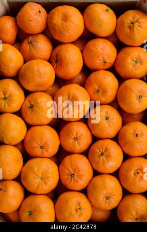 Vollrahmen von Mandarinen in Holzkisten, bereit zum Verkauf Stockfoto