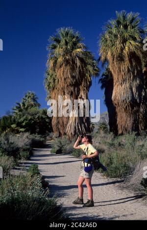 McCallum Trail, Coachella Valley Preserve, Kalifornien Stockfoto