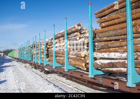 Log Transport mit Güterzug im Winter, Finnland Stockfoto