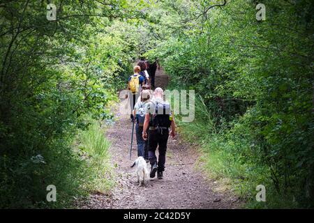 Calcata (VT), Italien - 13. Juni 2020: Gruppe von Wanderern geht den Weg in den Wald. Die Menschen gehen in einer Reihe und tragen technische Kleidung und spezielle st Stockfoto