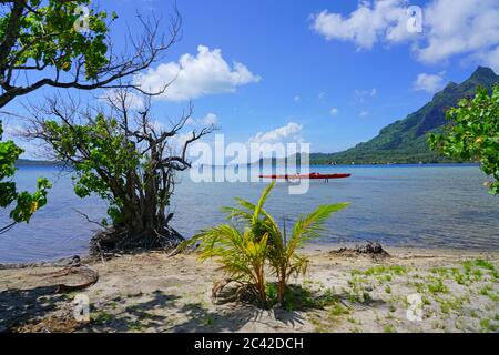 VAITAPE, BORA BORA -4 DEC 2018- Blick auf lokale Boote auf Stelzen über der Lagune in Vaitape, Bora Bora, Französisch-Polynesien. Stockfoto