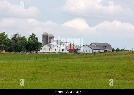 Amish Farm, Indiana, USA, von James D. Coppinger/Dembinsky Photo Assoc Stockfoto