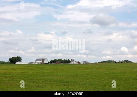 Amish Farm, Indiana, USA, von James D. Coppinger/Dembinsky Photo Assoc Stockfoto