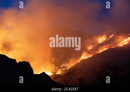 Bighorn Feuer wütet in den Santa Catalina Mountains, Tucson, Arizona, USA Stockfoto