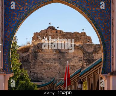 Der Gebäudekomplex Heri es-Souani ist ein UNESCO-Weltkulturerbe in Meknes, Marokko Stockfoto