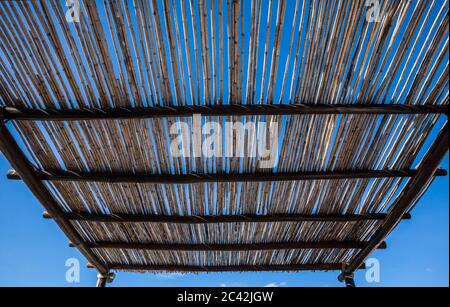 Ein Bambusstock Dach, San Jose del Cabo, B.S., Mexiko. Stockfoto